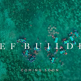 Zu sehen ist ein Korallenriff aus der Vogelperspektive, der Schriftzug "Reef Builder. Coming soon" ist darauf zu lesen.